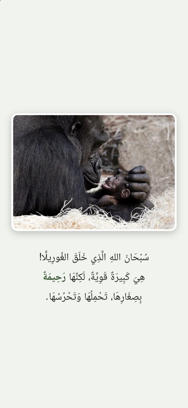 الصَّفْحَةُ الأَخِيرَةُ مِنْ قِصَّةِ الغُورِيلَّا