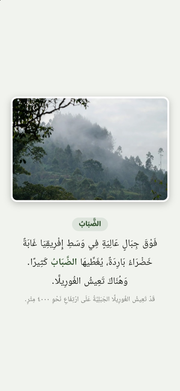 كَلِمَةٌ جَدِيدَةٌ فِي صَفْحَةِ القِصَّةِ