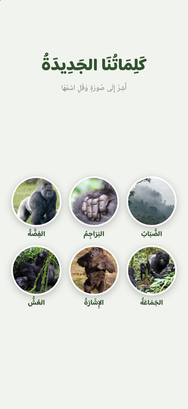 الكَلِمَاتُ الجَدِيدَةُ فِي آخِرِ القِصَّةِ